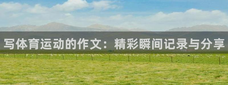 3377体育官网下载是干嘛的公司：写体育运动的作文：精彩瞬间