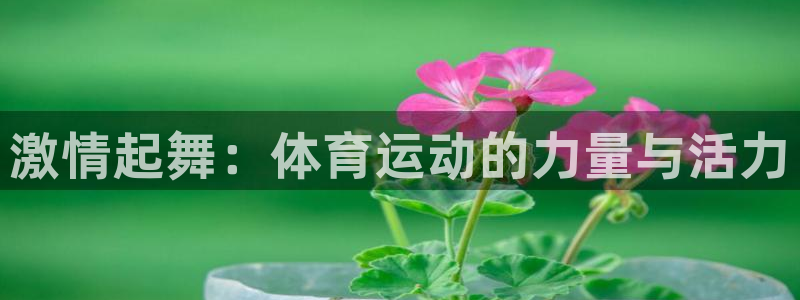 3377体育官方正版app娱乐是那个系列的台子：激情起舞：体