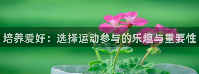 3377体育官方正版app开户：培养爱好：选择运动参