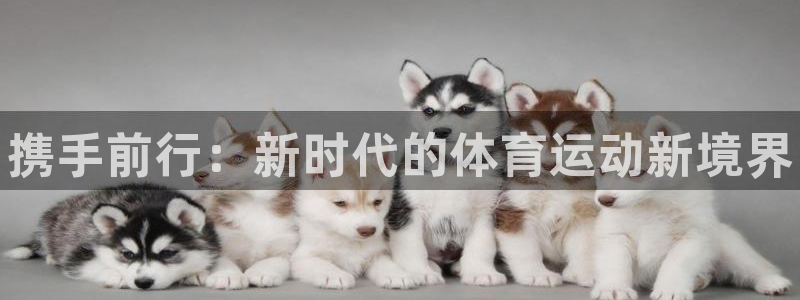 3377体育官方正版app娱乐是那个系列的台子：携手前行：新