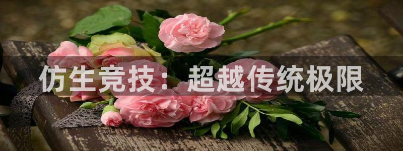 3377体育官方正版app娱乐首页网站大全：仿生竞技