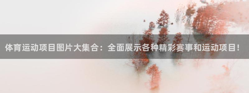 3377体育官网下载平台是正规平台吗安全吗：体育运动项目图片