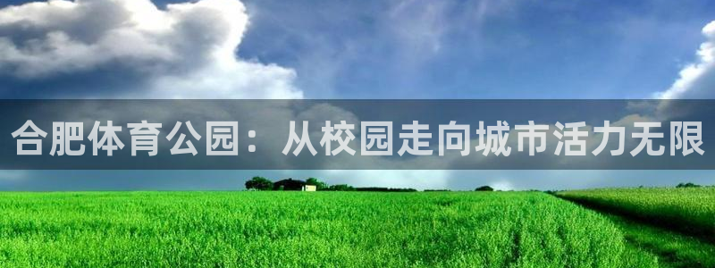 3377体育官网下载是干嘛的公司：合肥体育公园：从校