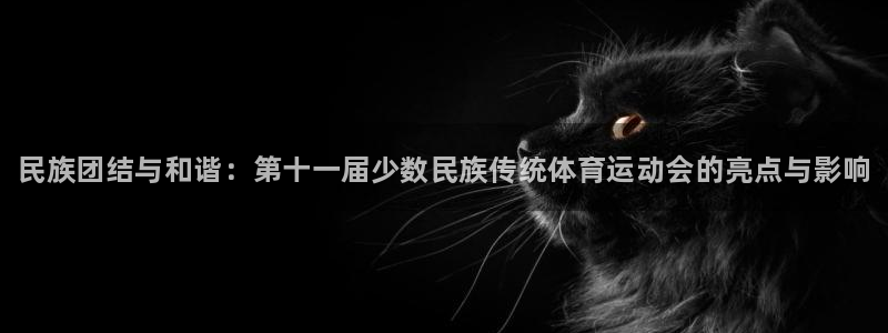 3377体育官网下载平台APP：民族团结与和谐：第十