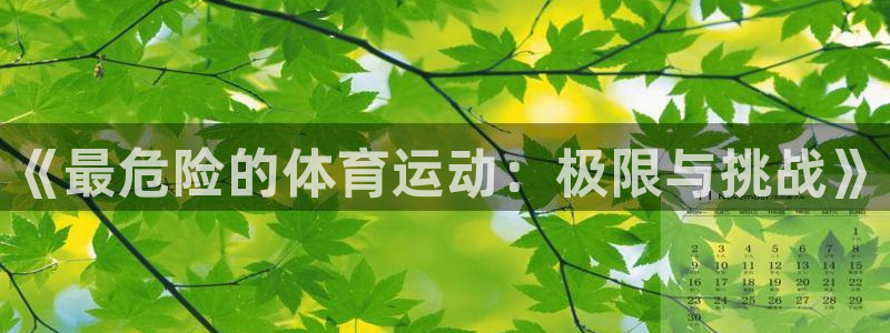 德国3377体育官方正版app集团：《最危险的体育运