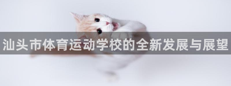 3377体育官方正版app集团E.ON：汕头市体育运