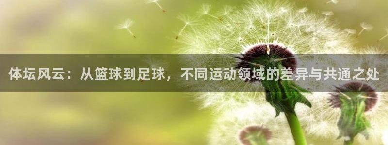 3377体育官方正版app代理：体坛风云：从篮球到足球，不同