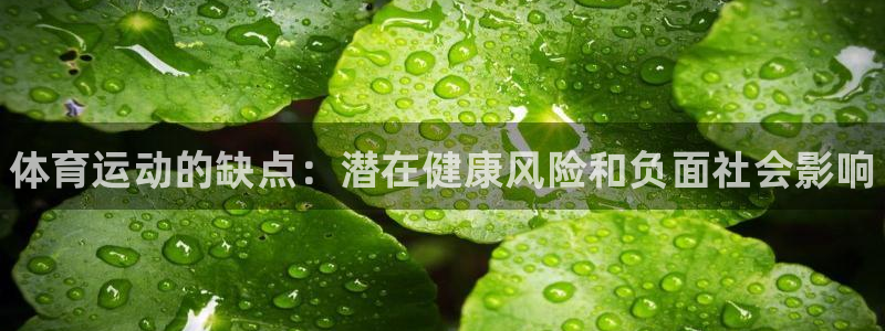3377体育官网下载招商电话号码是多少