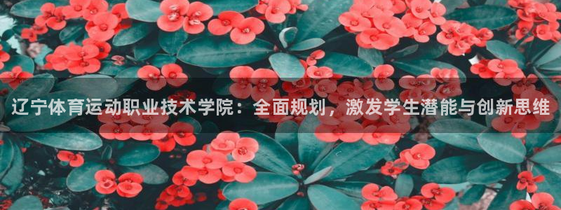 3377体育官网下载平台注册流程视频：辽宁体育运动职