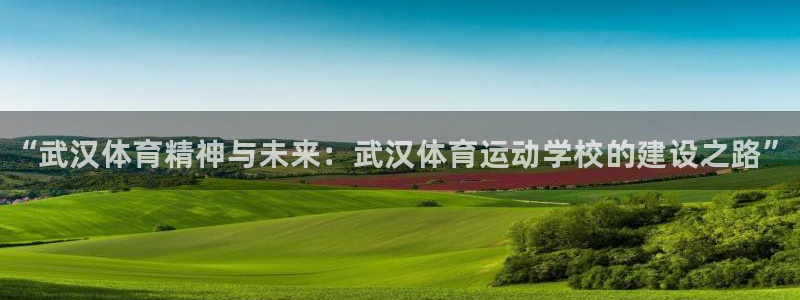 3377体育官方正版app神州