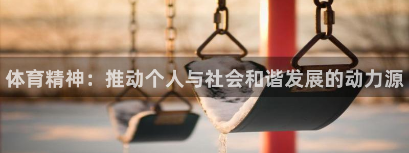 3377体育官方正版app五金厂：体育精神：推动个人与社会和