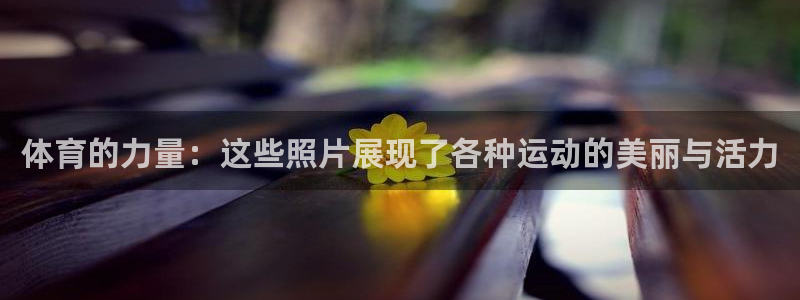 3377体育官方正版app科技：体育的力量：这些照片展现了各