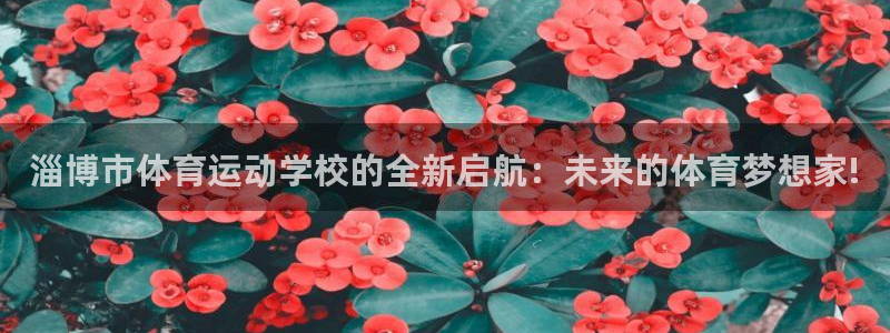 3377体育官方正版app集团logo：淄博市体育运