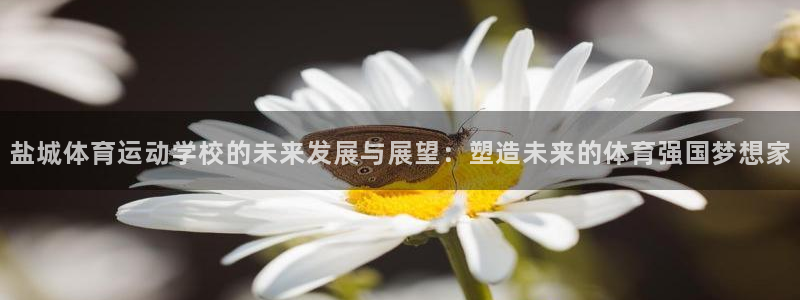 3377体育官网下载平台APP：盐城体育运动学校的未