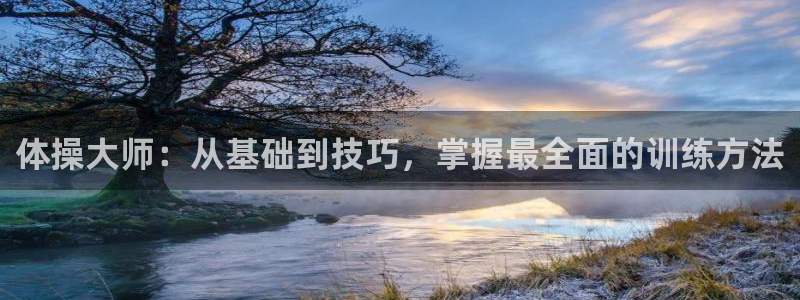 3377体育官网下载平台：体操大师：从基础到技巧，掌