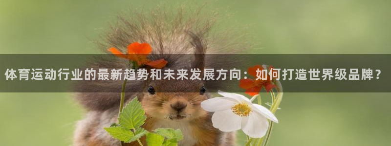 德国3377体育官方正版app集团：体育运动行业的最