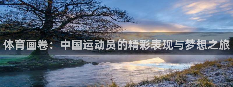 3377体育官网下载招商电话地址：体育画卷：中国运动