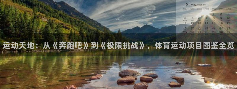 3377体育官方正版app官方：运动天地：从《奔跑吧
