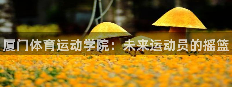 3377体育官网下载软件