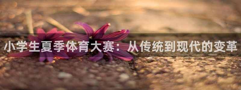 3377体育官网下载平台是正规平台吗：小学生夏季体育大赛：从