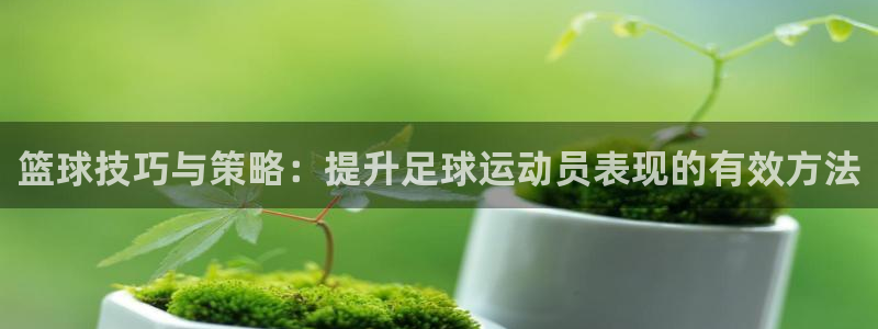3377体育官网下载招商电话号码：篮球技巧与策略：提升足球运