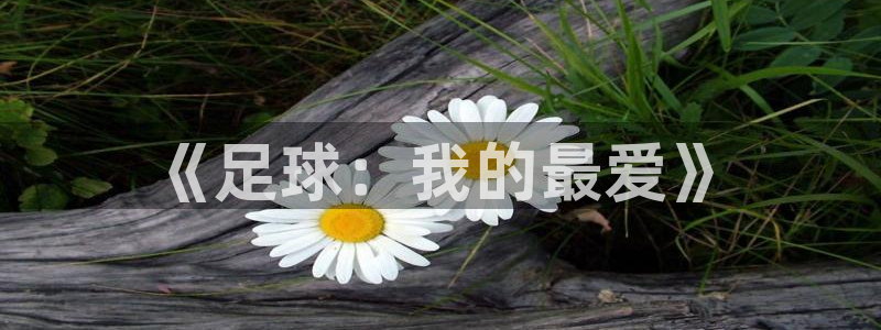 3377体育官网下载平台假的吗是真的吗吗：《足球：我的最爱》