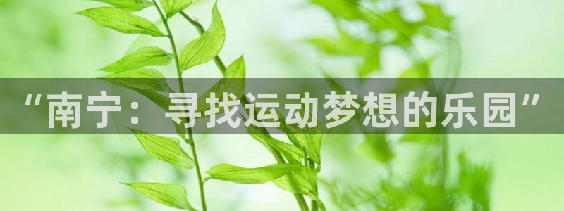 3377体育官方正版app娱乐下载：“南宁：寻找运动梦想的乐