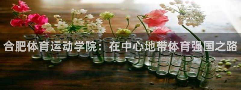 3377体育官方正版app娱乐网站：合肥体育运动学院