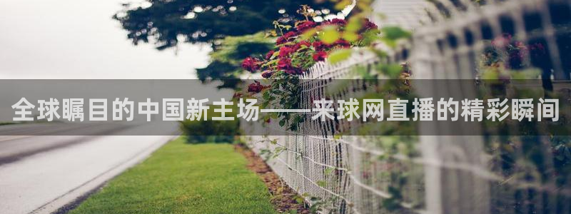nba比赛直播178：全球瞩目的中国新主场——来球网直播的精彩瞬间