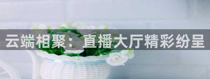 178免费体育赛事直播：云端相聚：直播大厅精彩纷呈