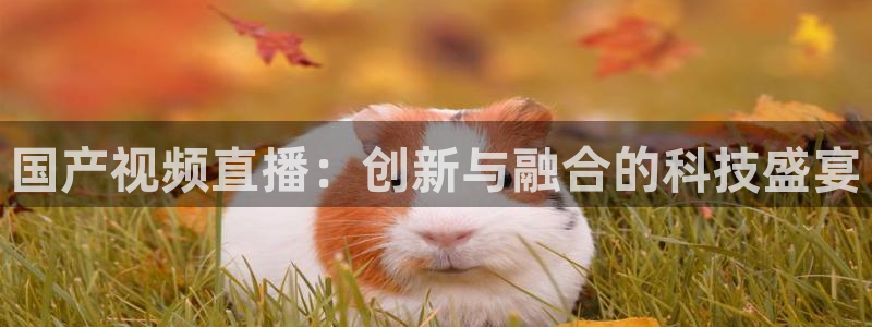 178直播体育官网：国产视频直播：创新与融合的科技盛宴