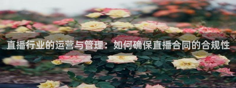足球直播178在线直播：直播行业的运营与管理：如何确保直播合同的合规性