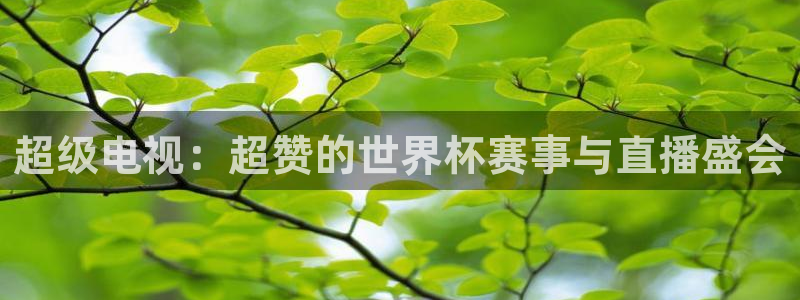 178体育直播免费观看全部视频：超级电视：超赞的世界杯赛事与直播盛会